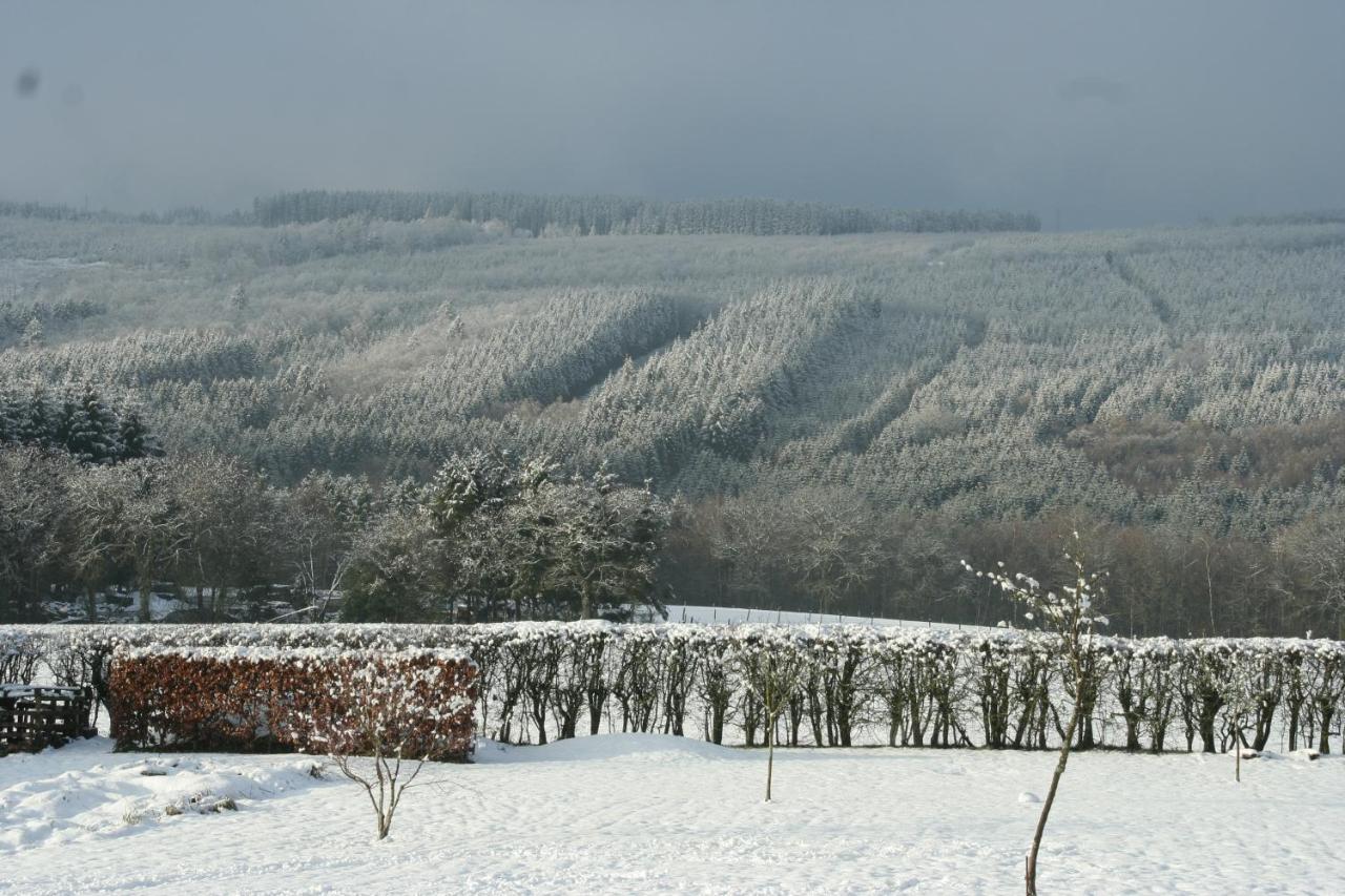 The View Hotel Francorchamps Buitenkant foto
